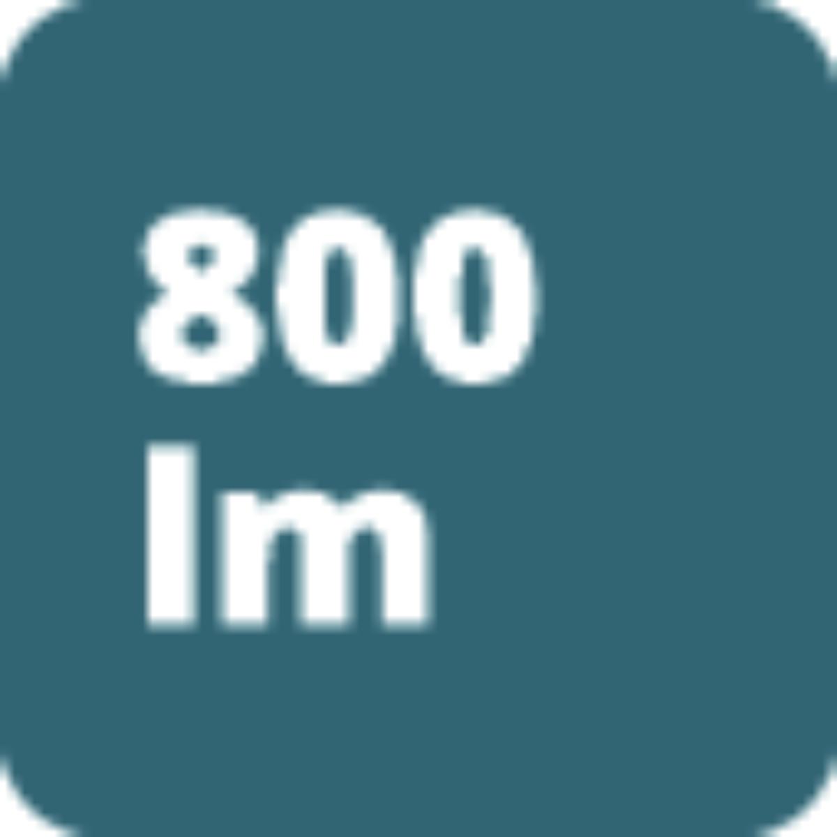 Wiha Handleuchte 800 lm mit USB-C-Ladekabel