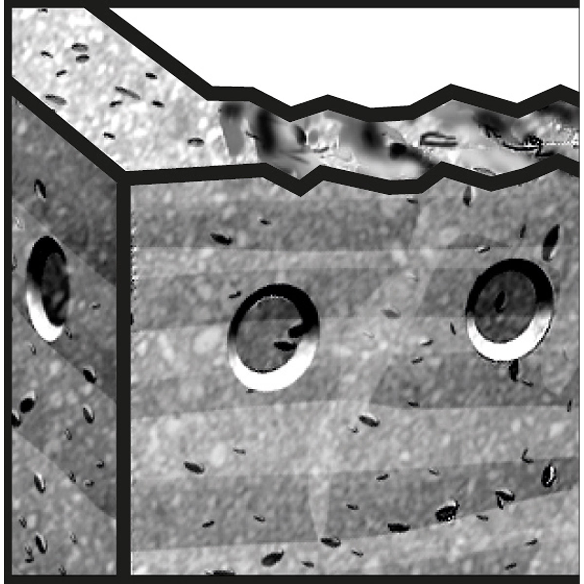 2608585626BO 2608585626BO