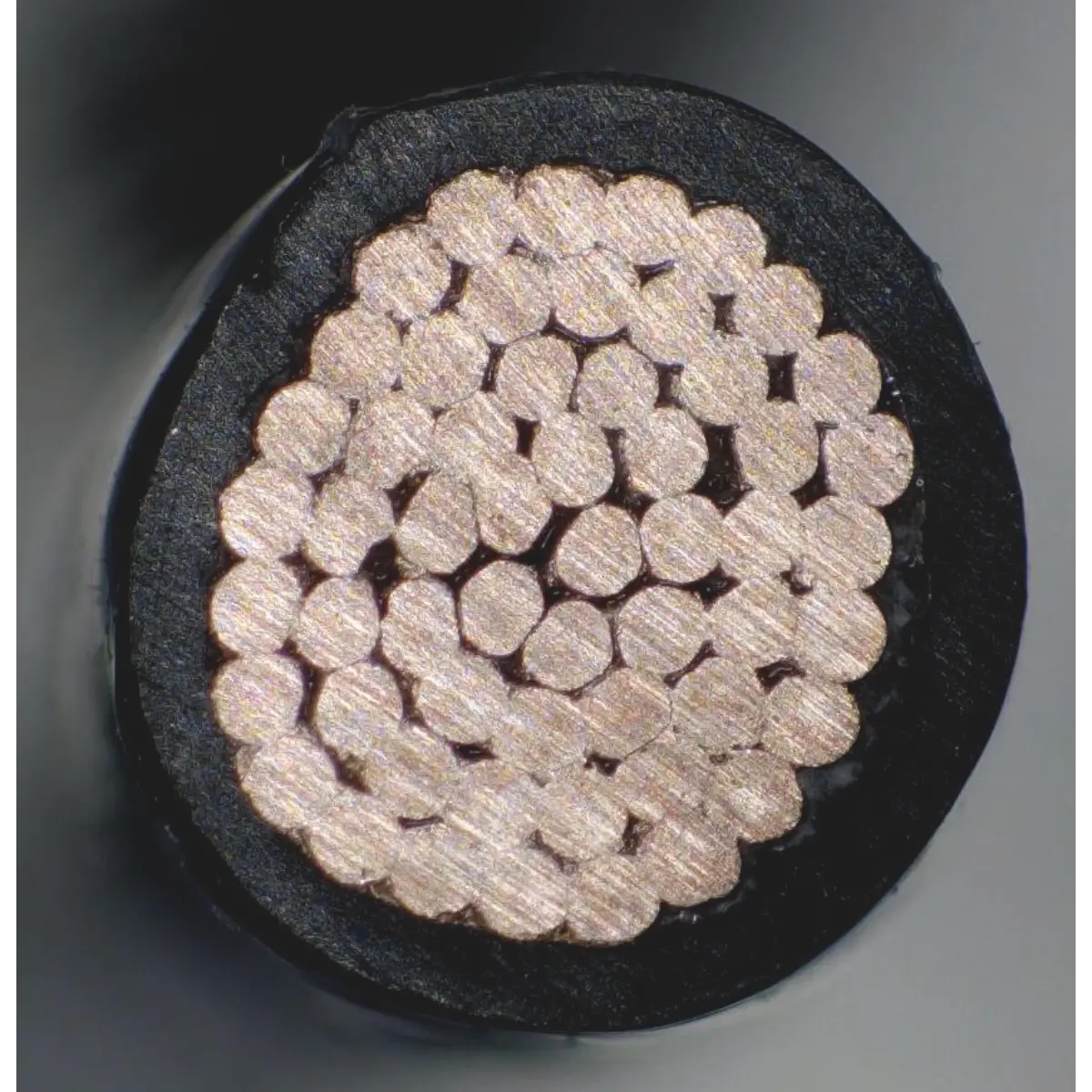 Rennsteig Abisolierzange für PTFE-isoliertes Kabel 2,5 mm² / 4,0 mm² / 6,0 mm² / 10,0 mm²