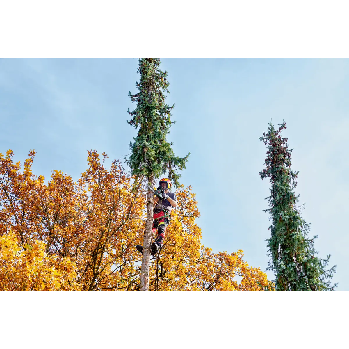 Metabo Akku-Kettensäge MS 18 LTX BL 25 (601595850) - Karton