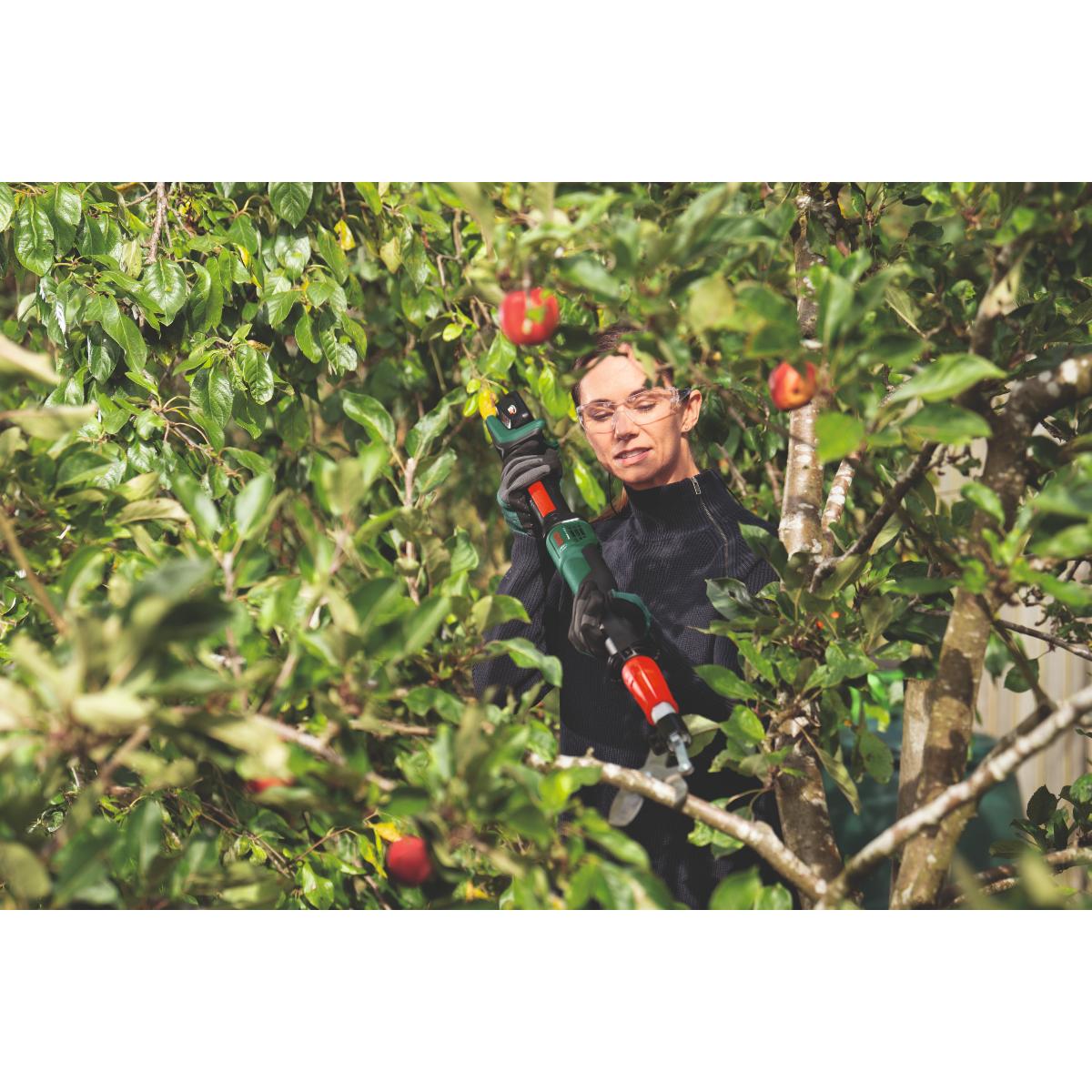 Bosch Akku-Gartenschere AdvancedPrune 18V-45