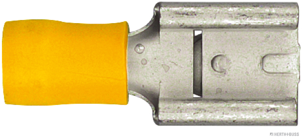 50252513hb