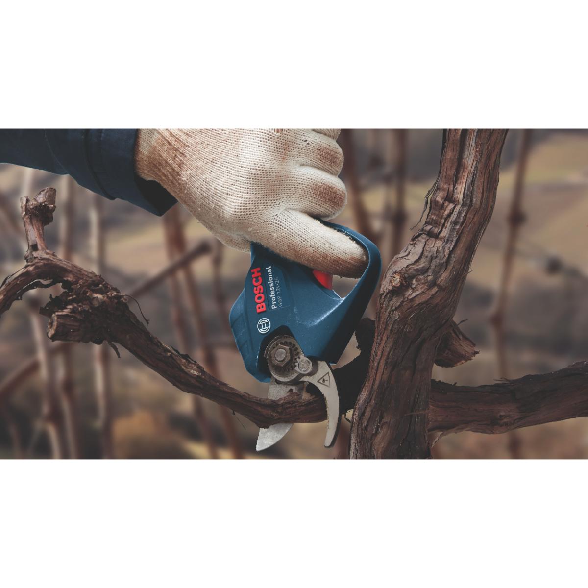 Bosch Akku-Gartenschere GGP 12V-25