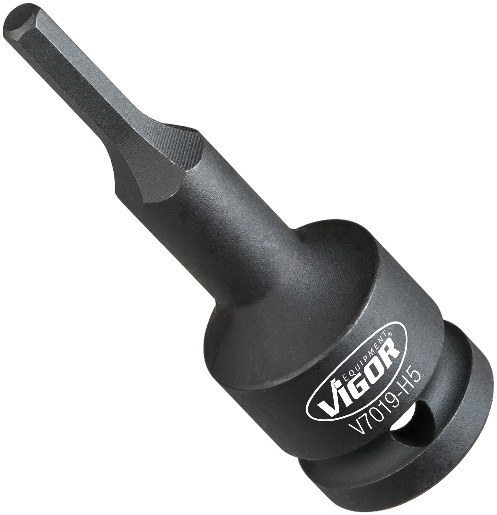 V7019-H10HZ