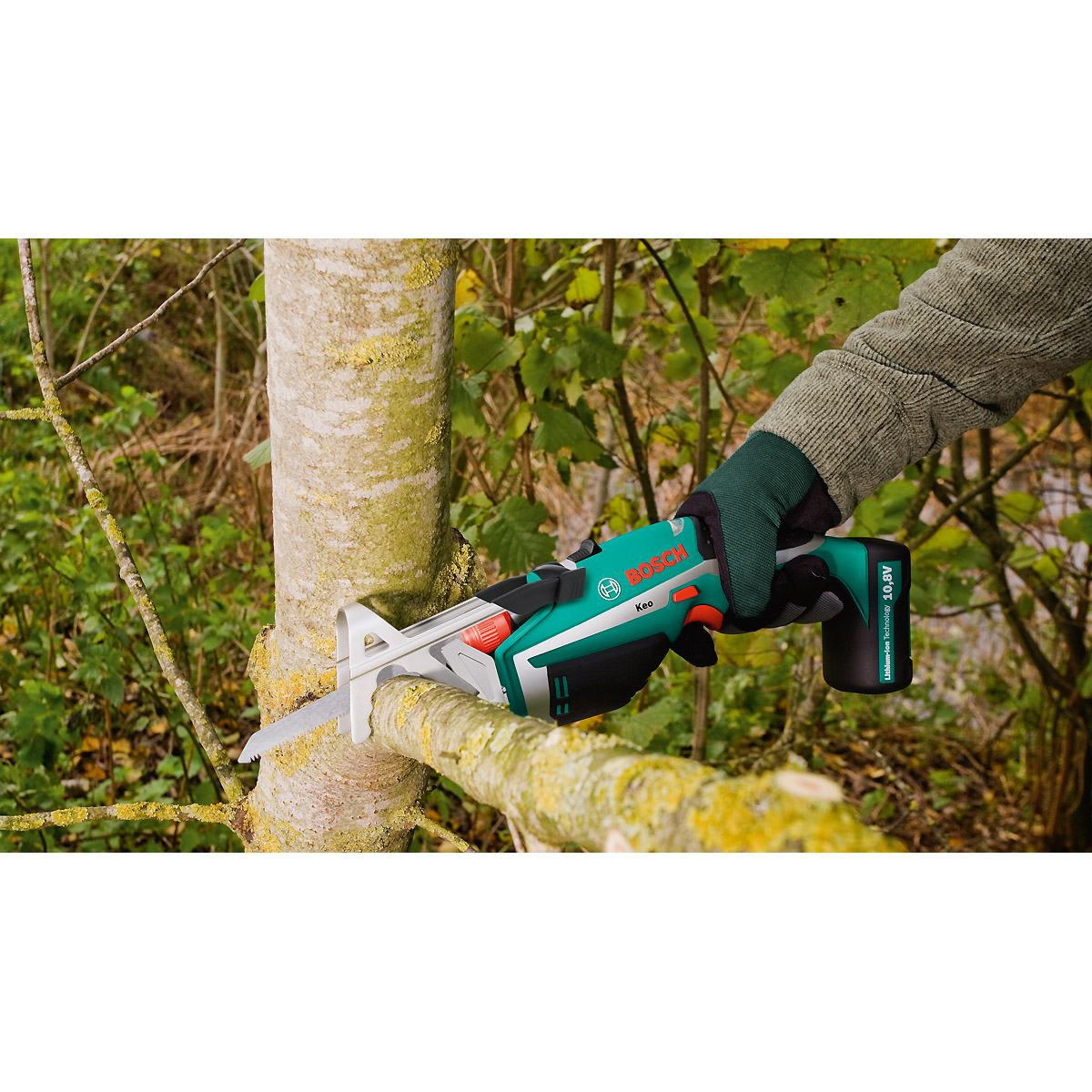 Bosch Akku-Gartensäge Keo