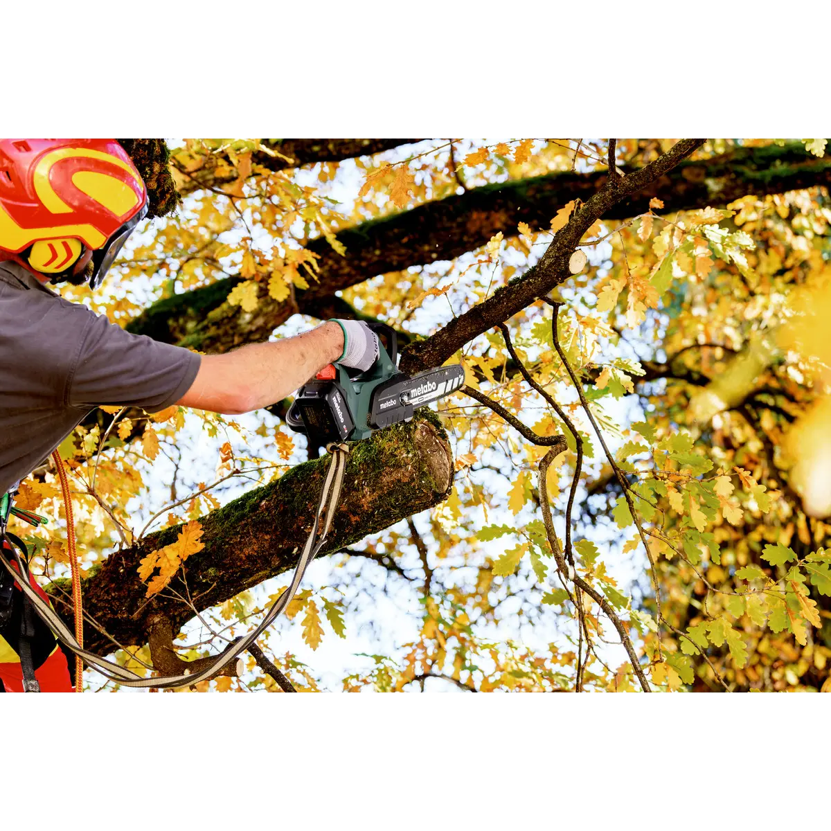 Metabo Akku-Kettensäge MS 18 LTX BL 25 (601595850) - Karton