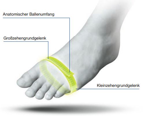 Fuß - Mehrweitensystem