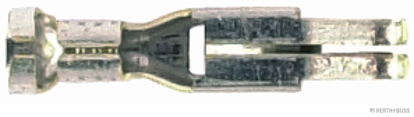 50251813hb