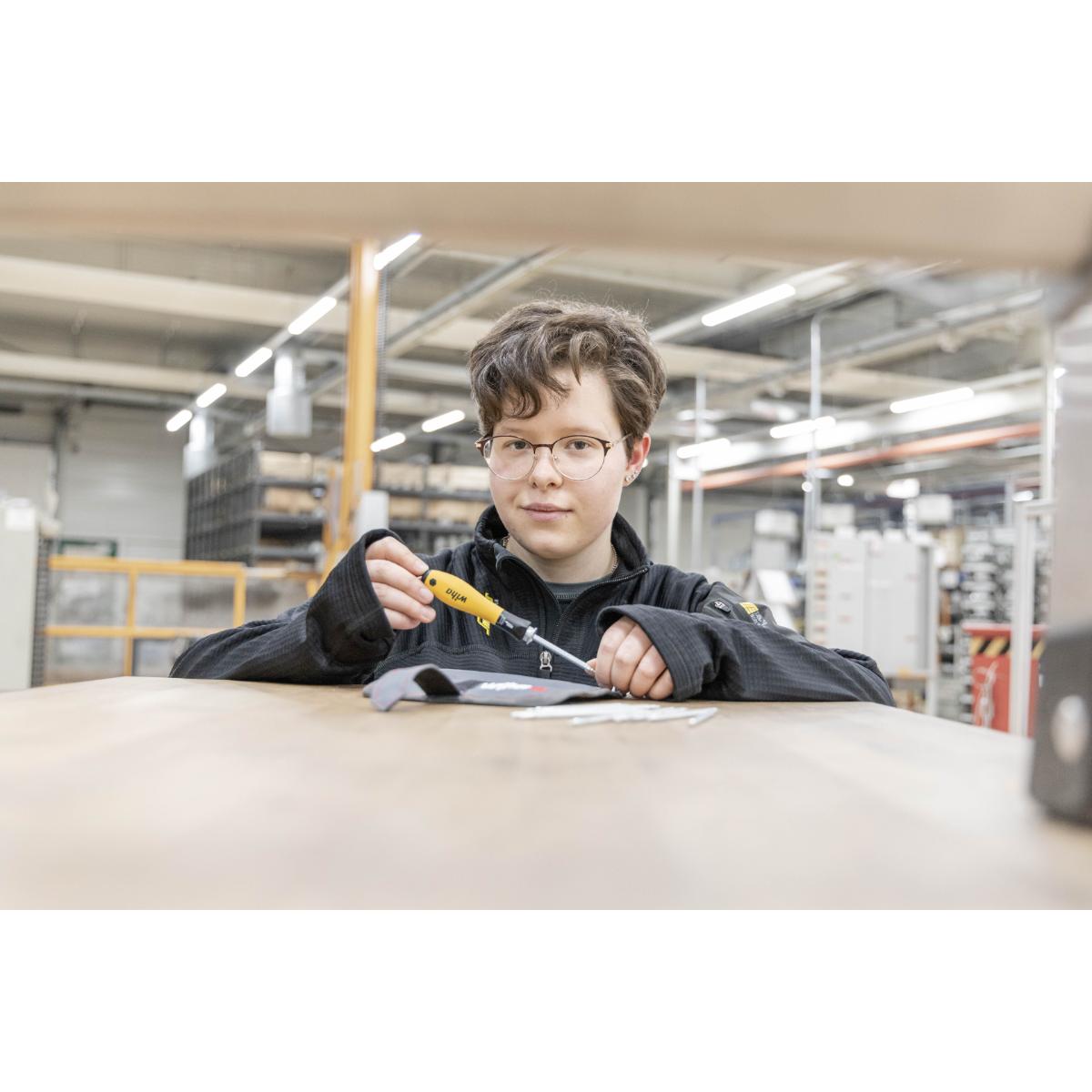 Wiha Schraubendreher mit Wechselklingen Set SYSTEM 4 ESD gemischt 12-teilges Set mit Rolltasche