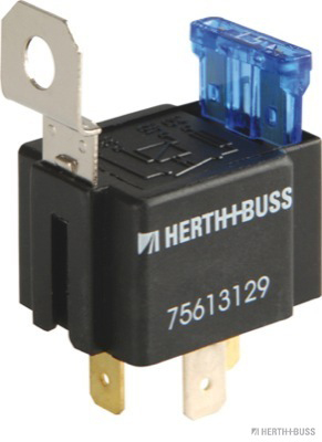 75613129hb