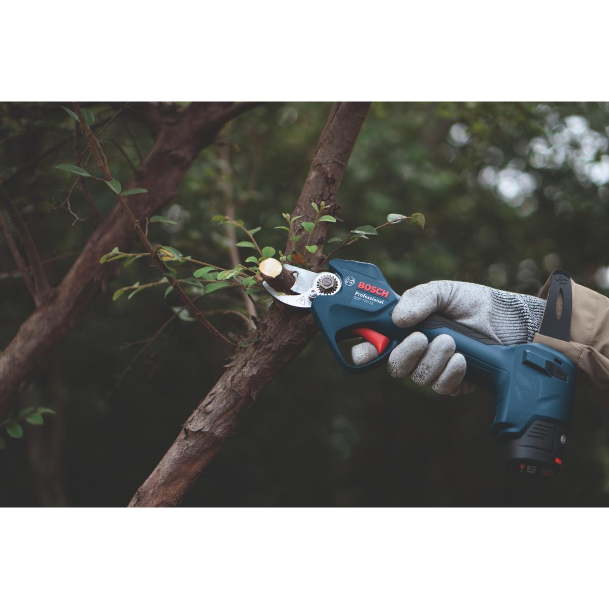 Bosch Akku-Gartenschere GGP 12V-25