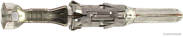 50251869hb