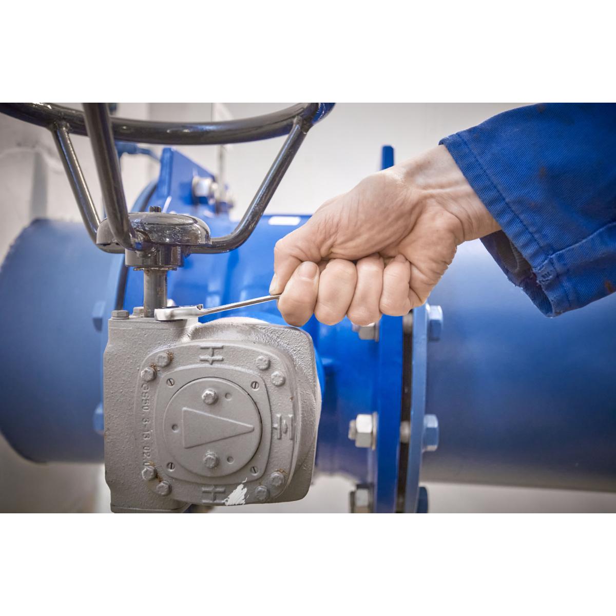 Wiha Ringratschen-Gabelschlüssel Set 12-teilges Set umschaltbar in Halter