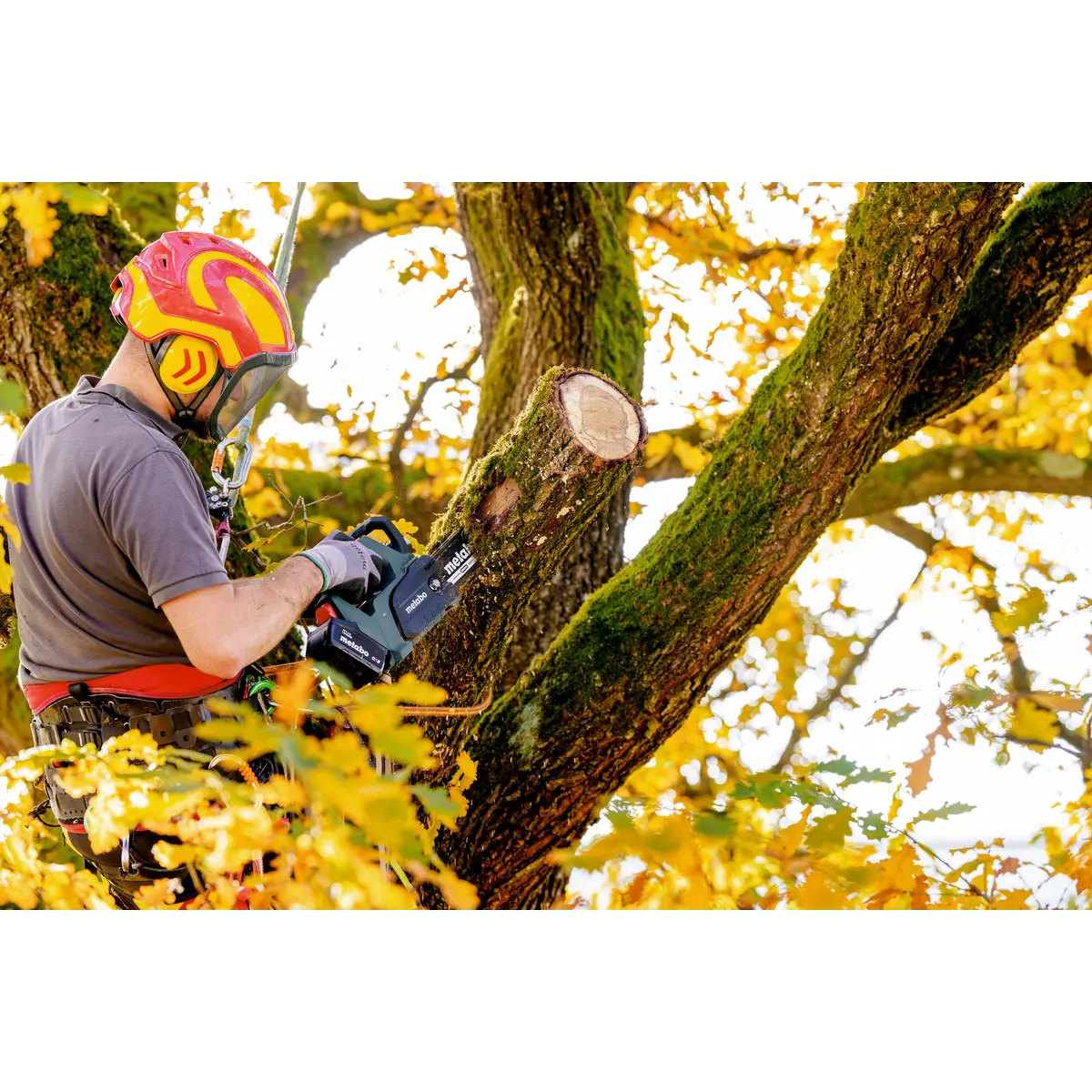 Metabo Akku-Kettensäge MS 18 LTX BL 25 (601595850) - Karton