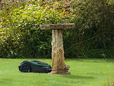 Rasen, Rasenmähroboter, Garten, Gras, Bodenpflege