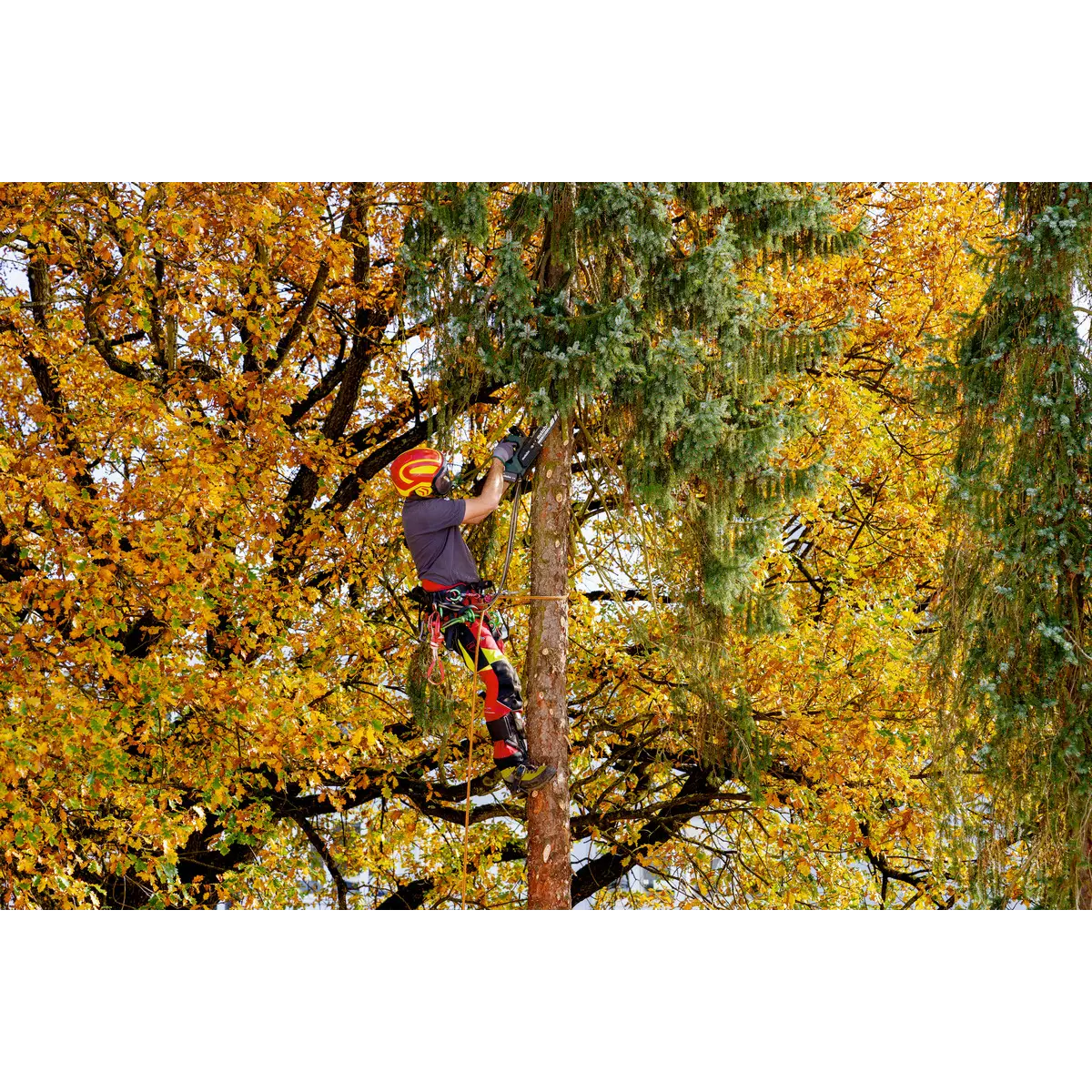 Metabo Akku-Kettensäge MS 18 LTX BL 25 (601595850) - Karton