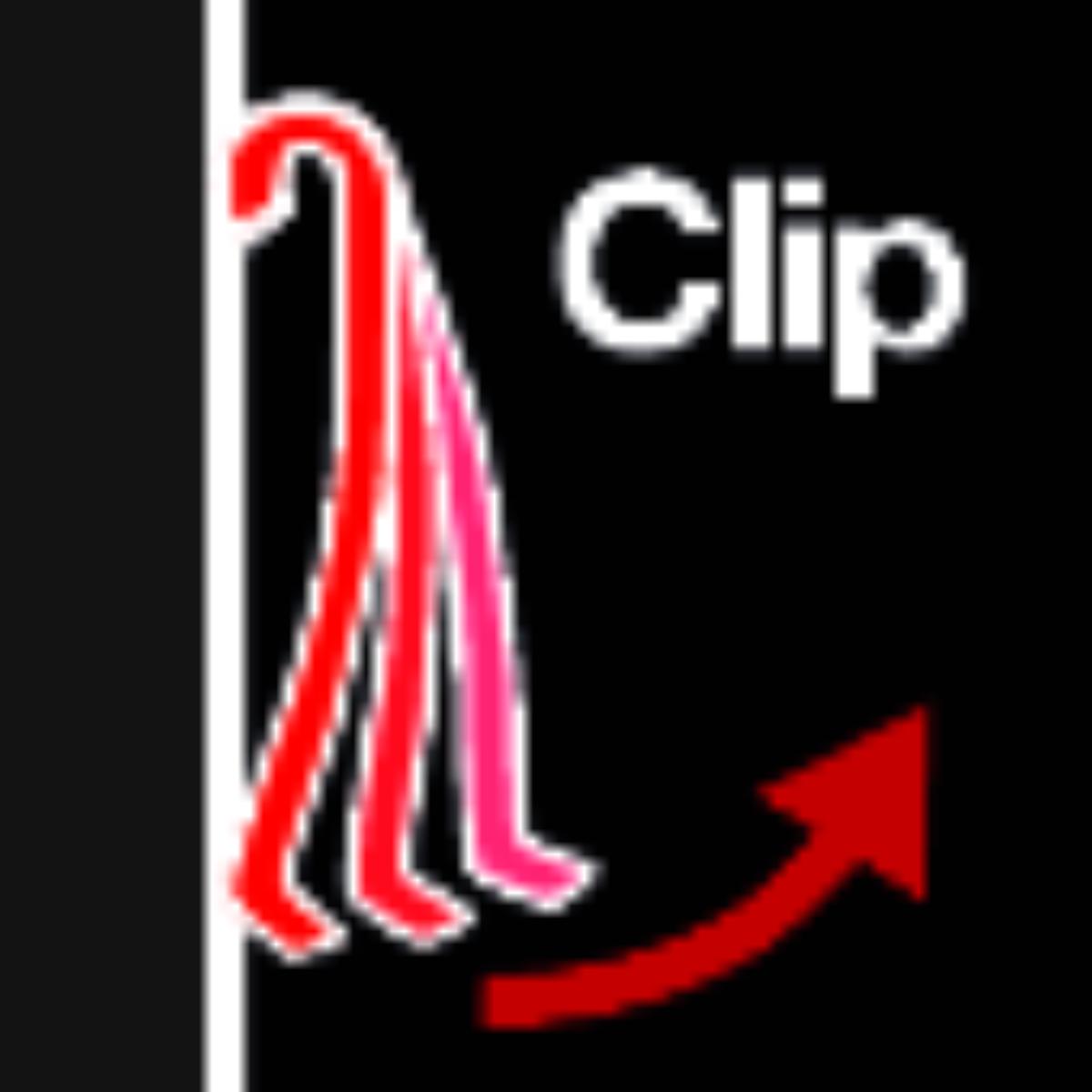 Wiha Schaltschrankschlüssel Stift-Form