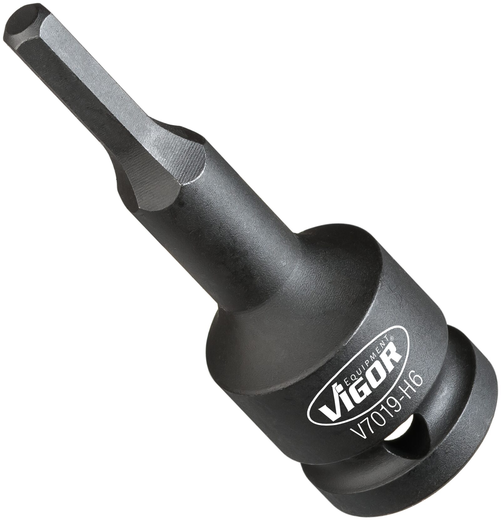 V7019-H10HZ