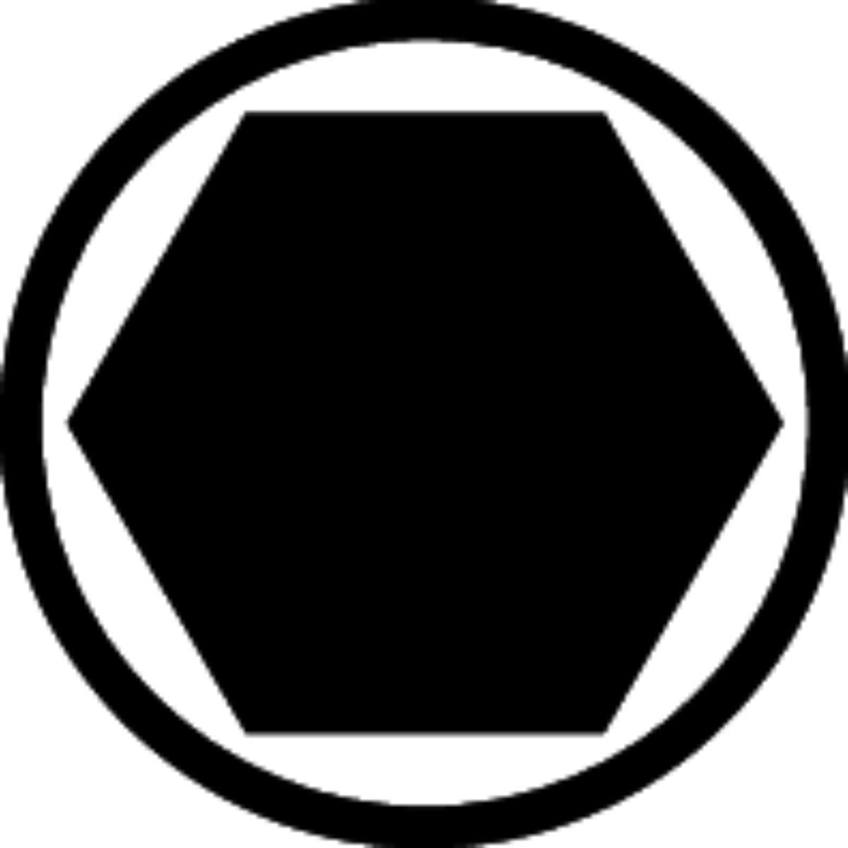 Wiha Bit Set Doppelbit Innensechskant (5.0/6.0) 10-teilges Set in Box