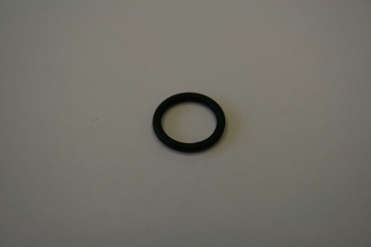 ELMAG O-Ring Nr. 10