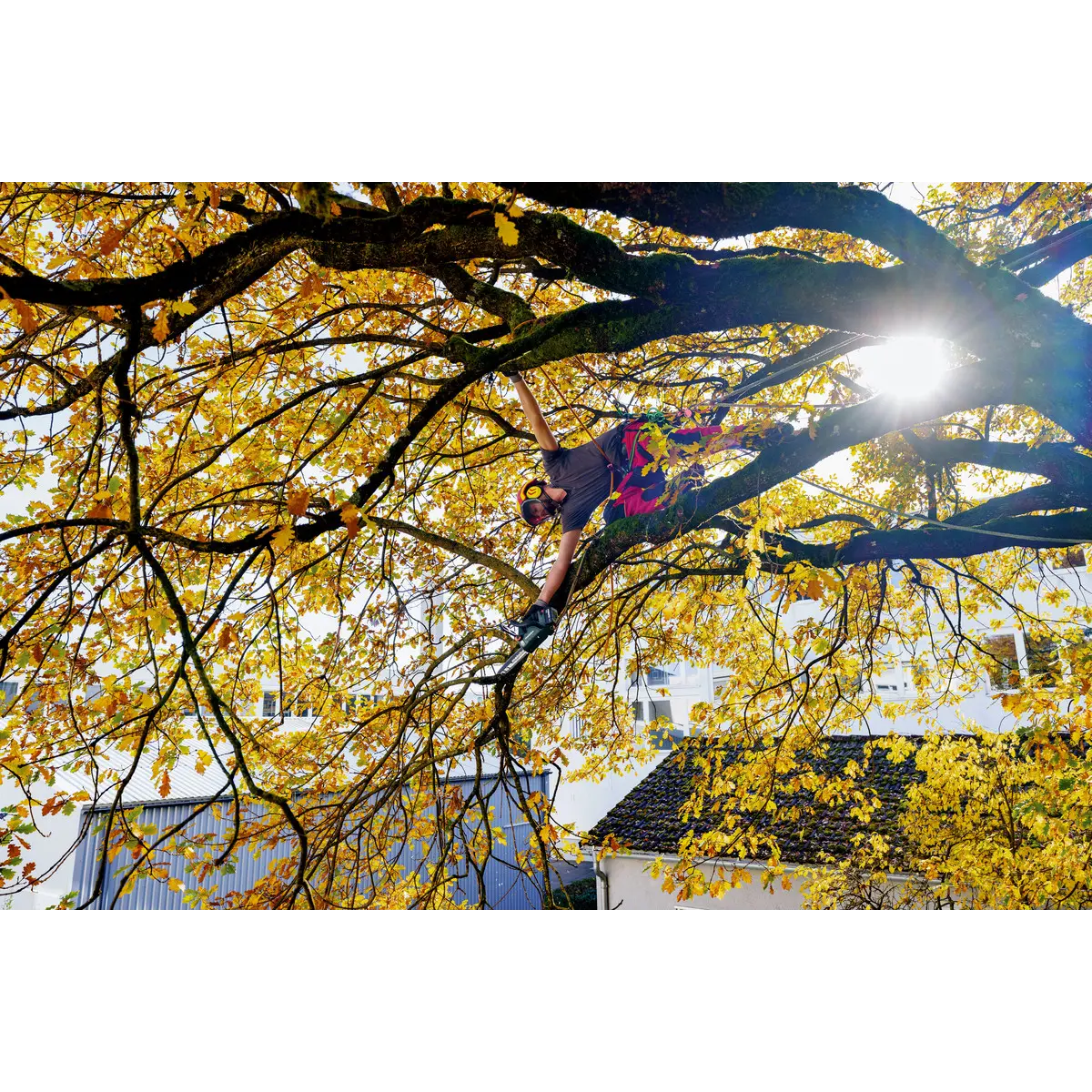 Metabo Akku-Kettensäge MS 18 LTX BL 25 (601595850) - Karton