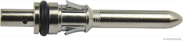 50251891hb