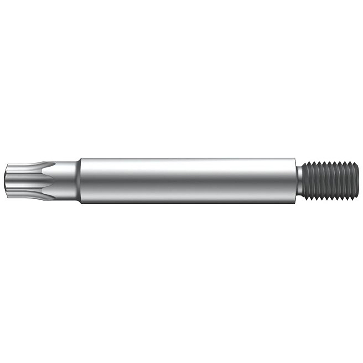 Wiha Bit mit Gewinde TORX M5 - 10 Stück