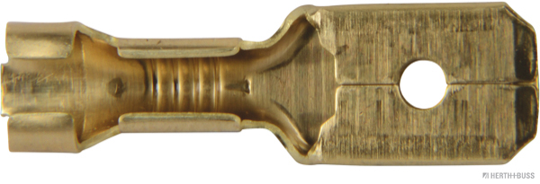 50251521hb
