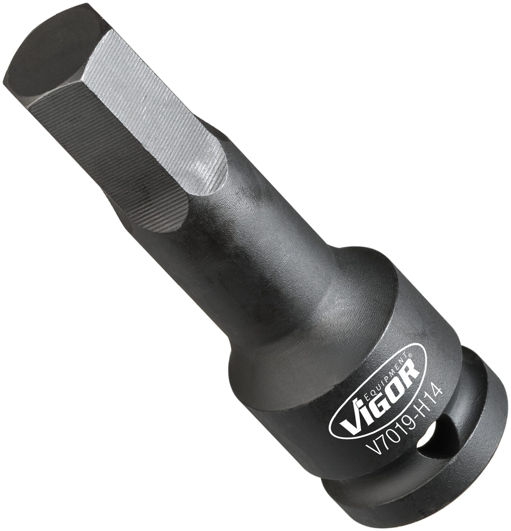 V7019-H10HZ