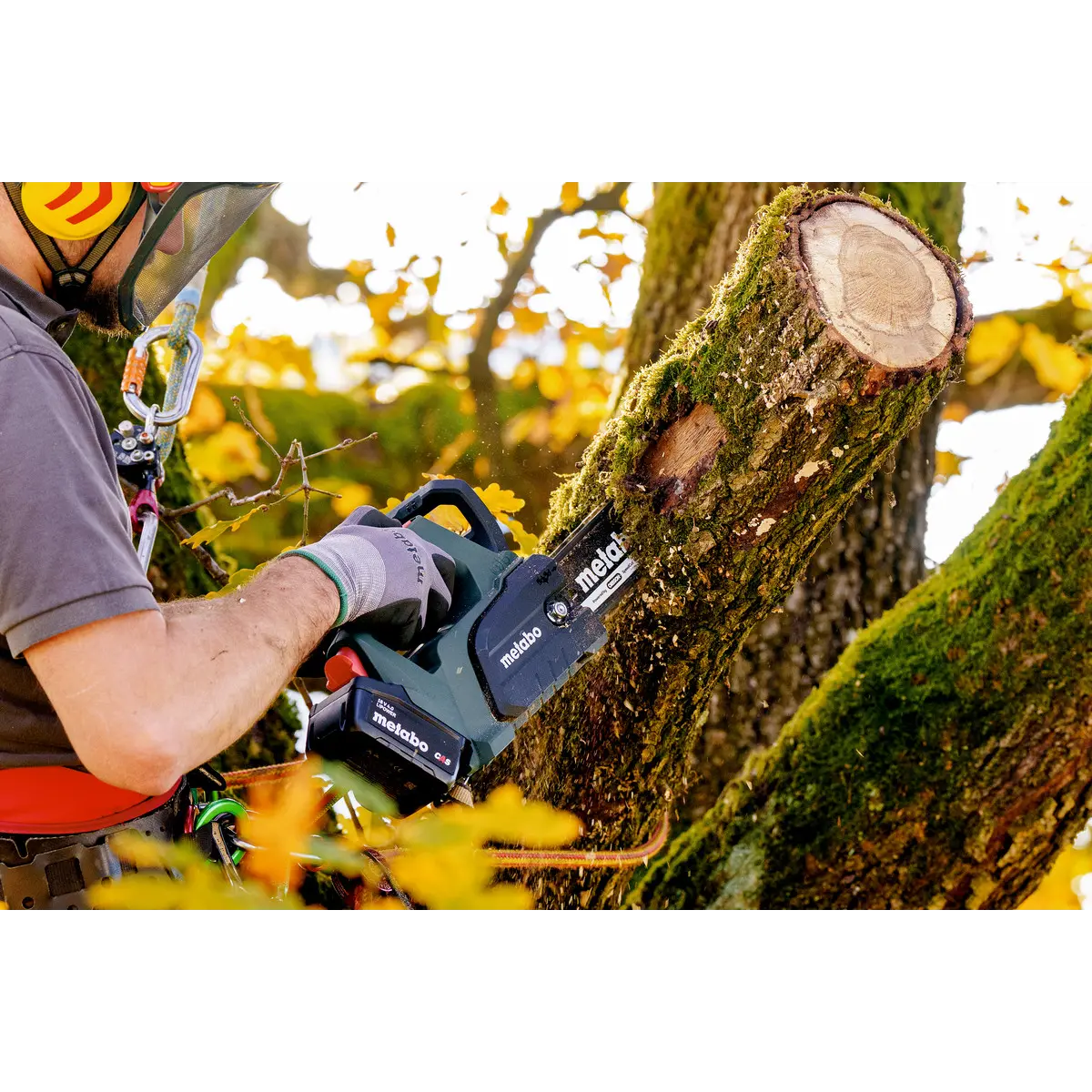 Metabo Akku-Kettensäge MS 18 LTX BL 25 (601595850) - Karton