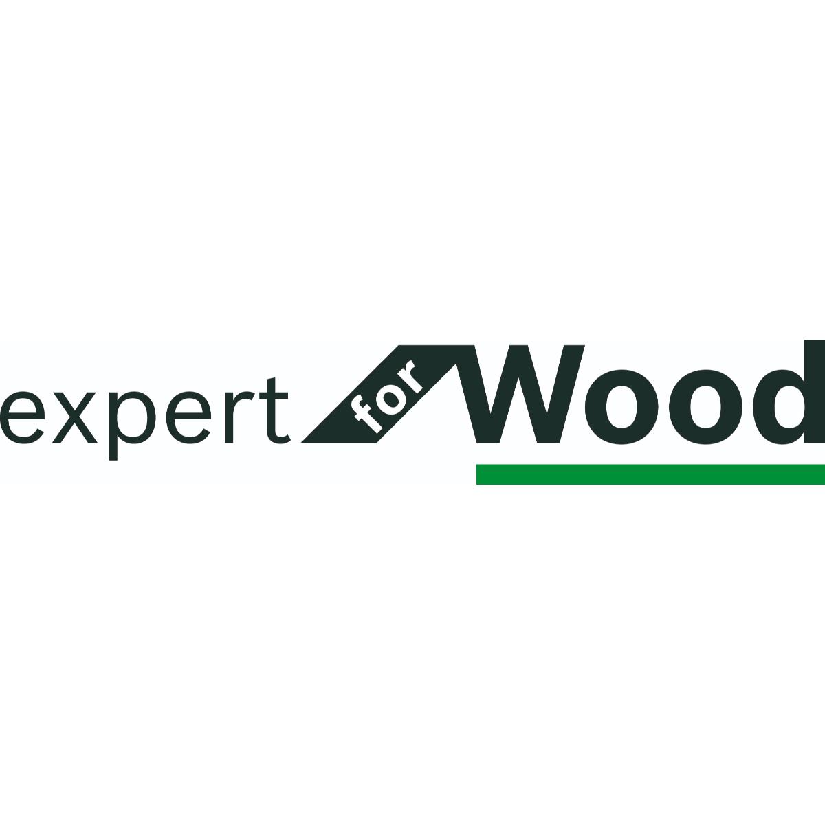 Bosch Kreissägeblatt für Akkusägen Expert for Wood, 254 x 2,1/1,6 x 30