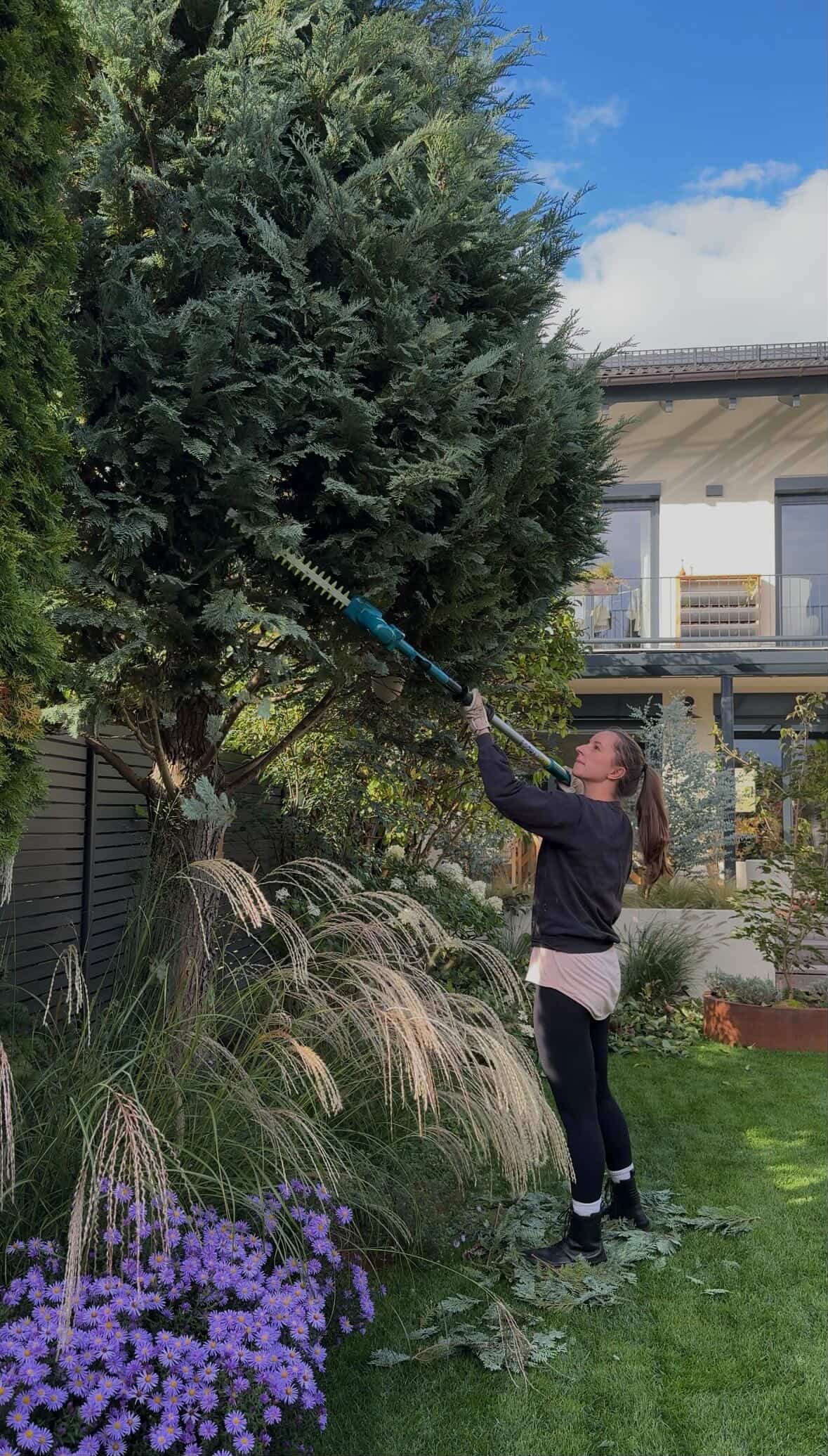 Gartenarbeit, Heckenschere, Baum, Gartenpflanze, Grünpflanze