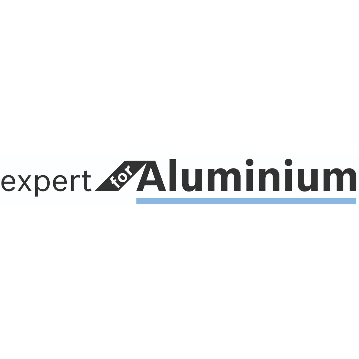 Bosch Kreissägeblatt für Akkusägen Expert for Aluminium, 254 x 2,4/1,8 x 30, 78 Zähne