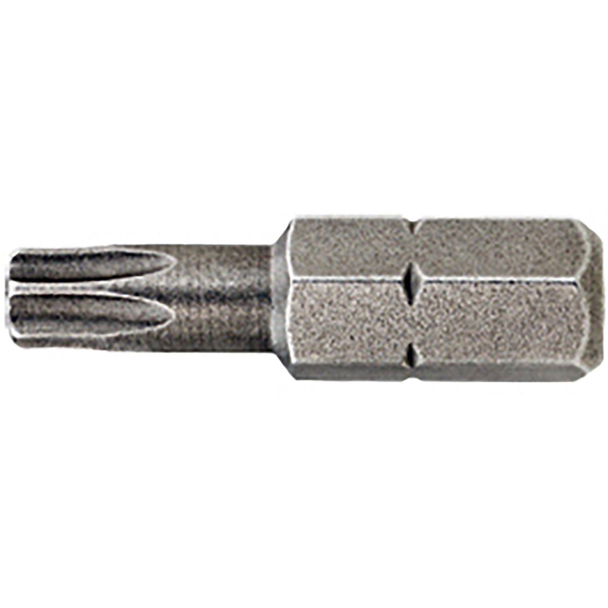 DEWALT Torsion Bit Torx