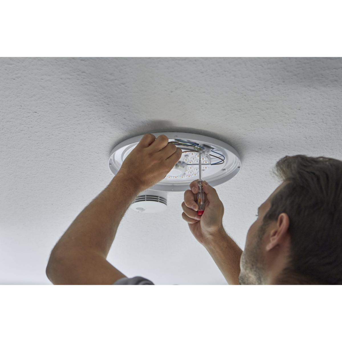 Wiha Spannungsprüfer 120-250 Volt Schlitz transparent, mit Ansteckclip