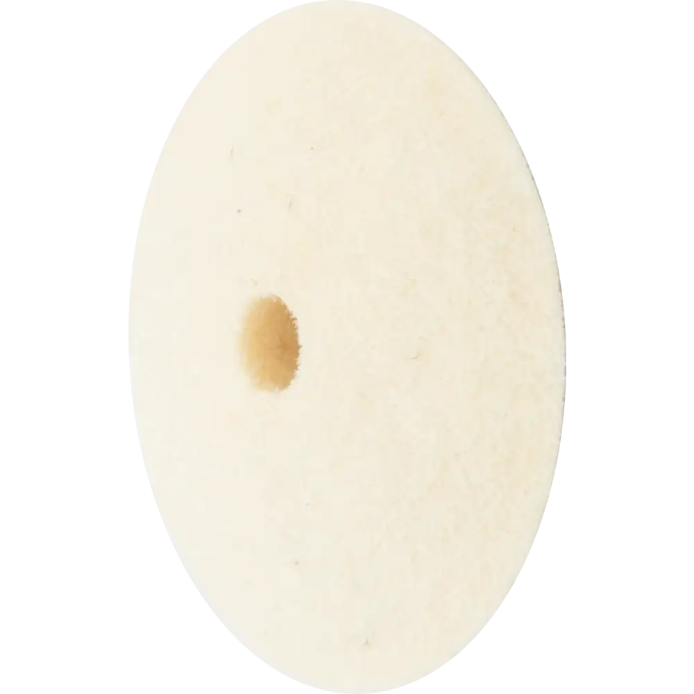 PFERD TOOLS harte Filzscheibe in Linsenform für universelle Polierarbeiten