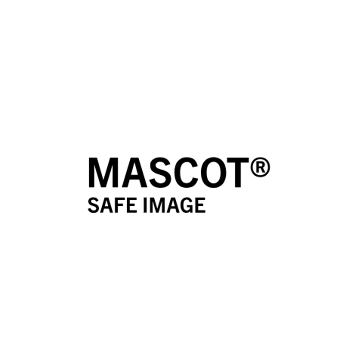 schutz, sicheres bild, maskottchen, logo, branding