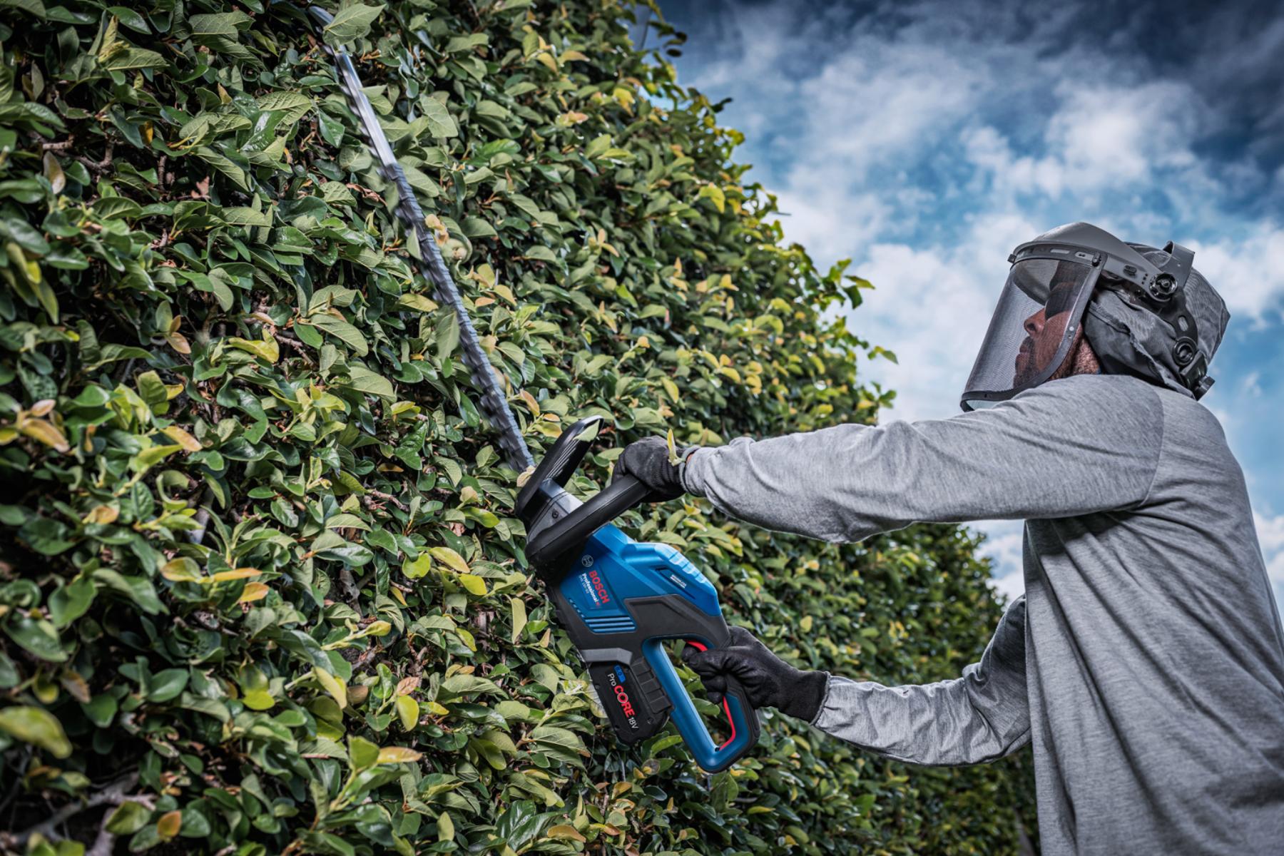 Person, Arbeiter, Elektrische Bohrmaschine, Werkzeug, Hecke