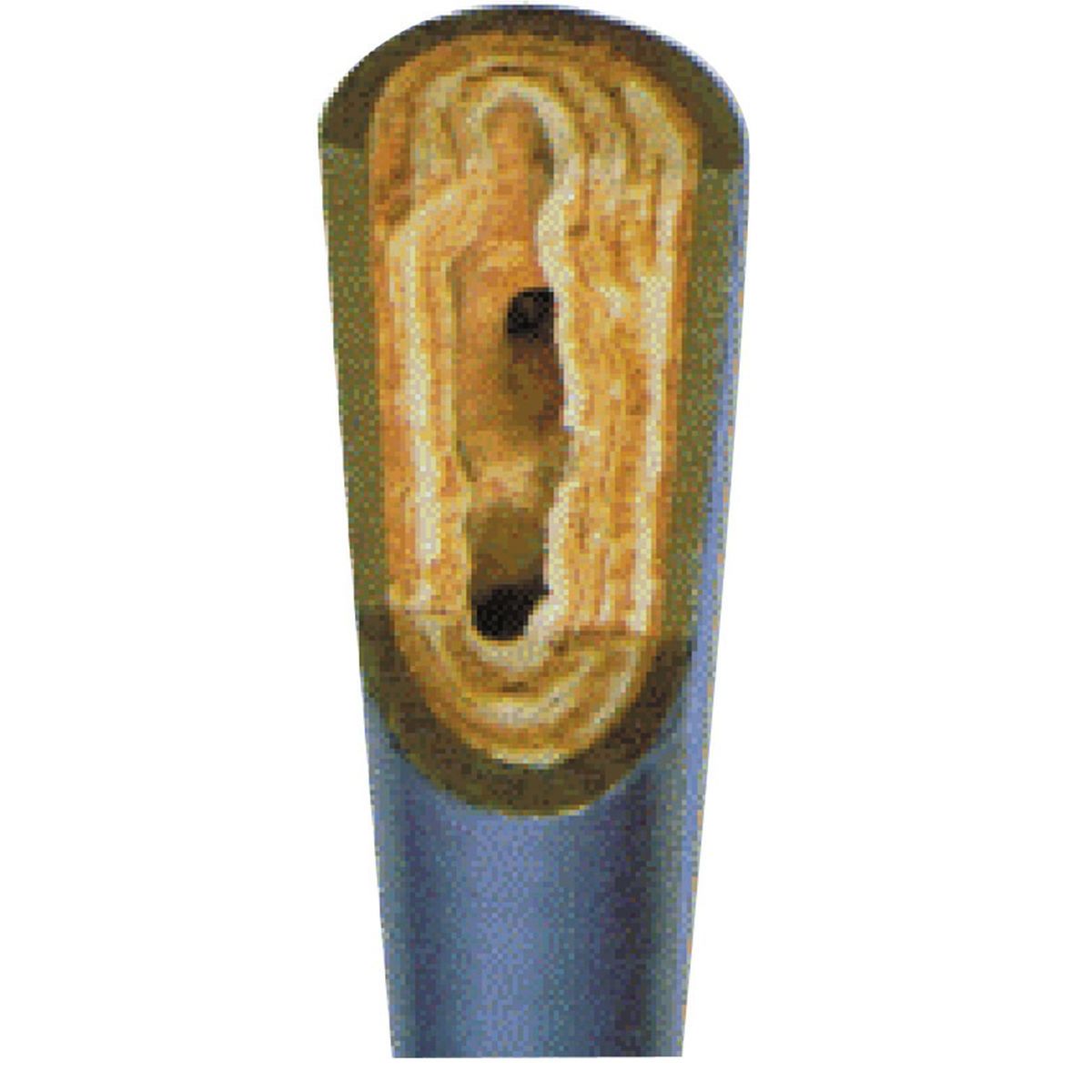 61100ro