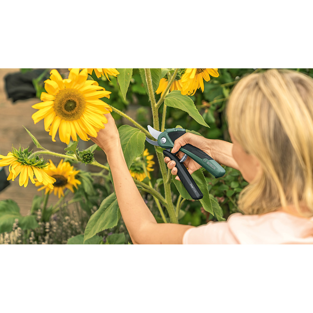 Bosch Akku-Gartenschere EasyPrune