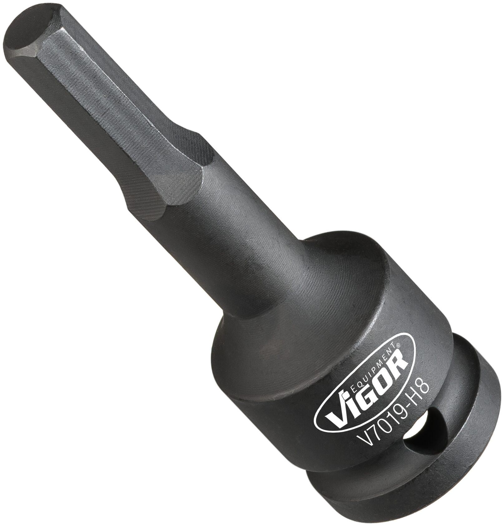V7019-H10HZ