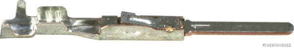 50253369hb