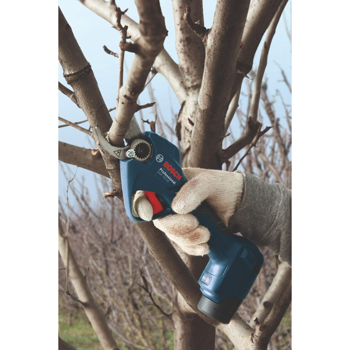 Bosch Akku-Gartenschere GGP 12V-25, 2 x Akku GBA 12V 3.0Ah