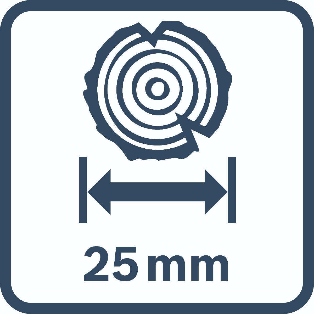 Bosch Akku-Gartenschere GGP 12V-25, 2 x Akku GBA 12V 3.0Ah