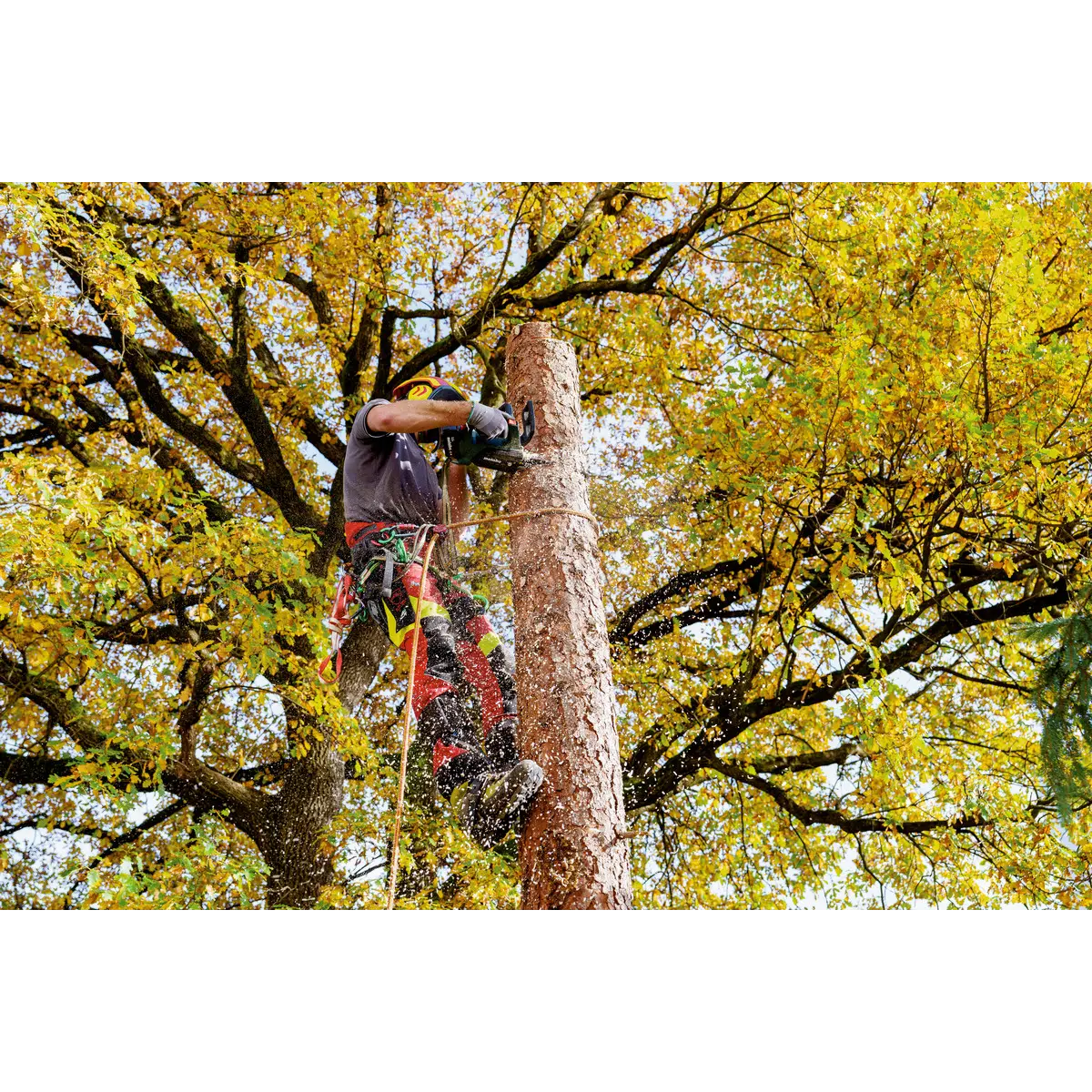 Metabo Akku-Kettensäge MS 18 LTX BL 25 (601595850) - Karton