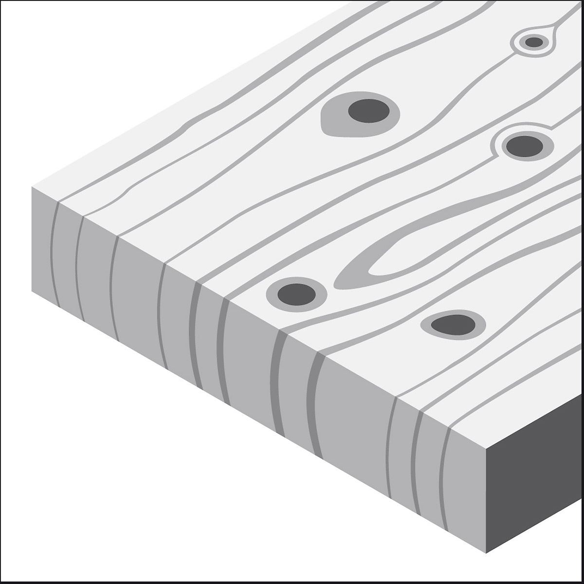 2608605583BO 2608605583BO