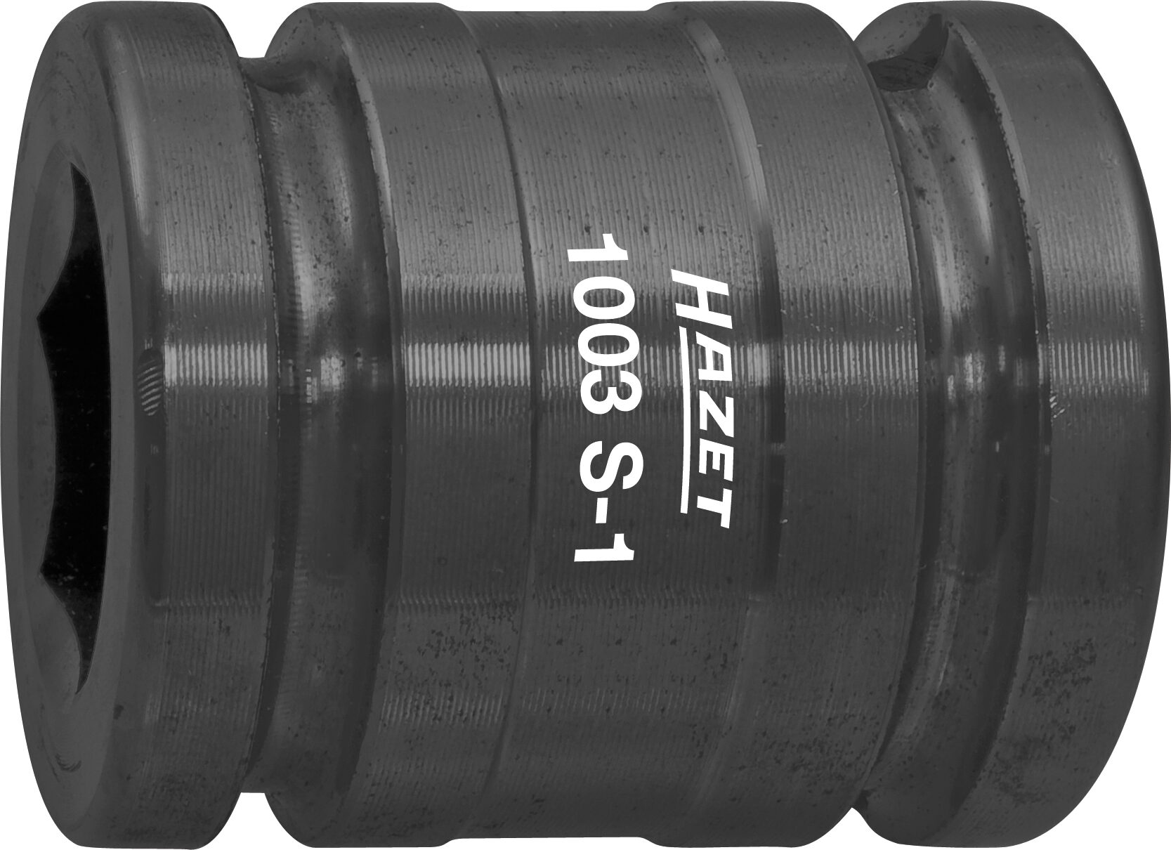 1003S-1HZ