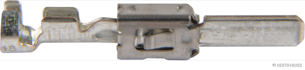 50251895hb