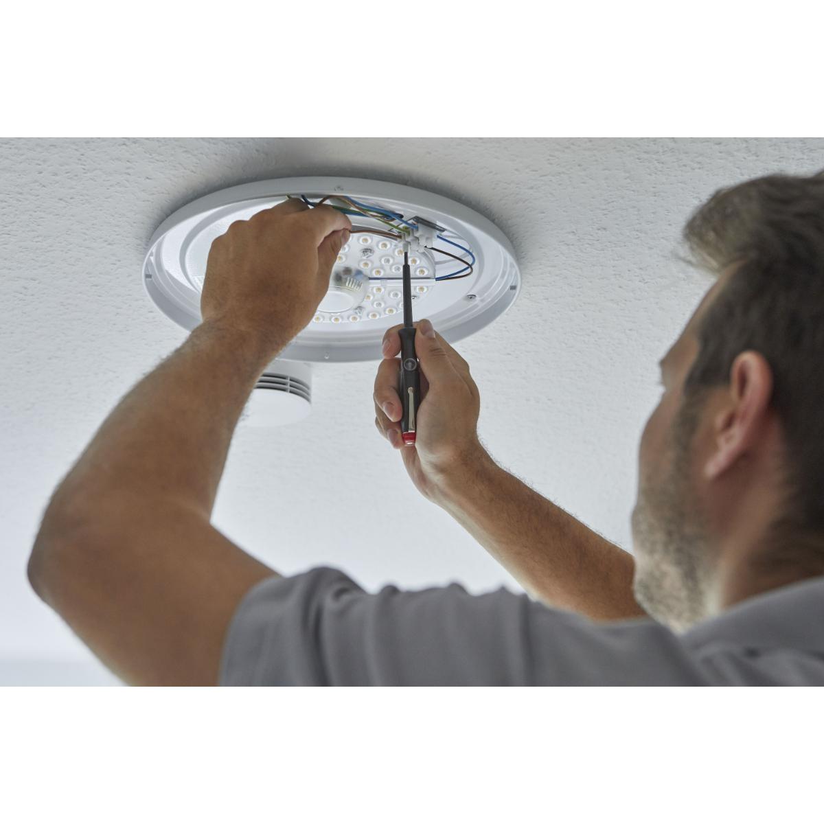 Wiha Spannungsprüfer 150-250 Volt Schlitz schwarz, mit Ansteckclip