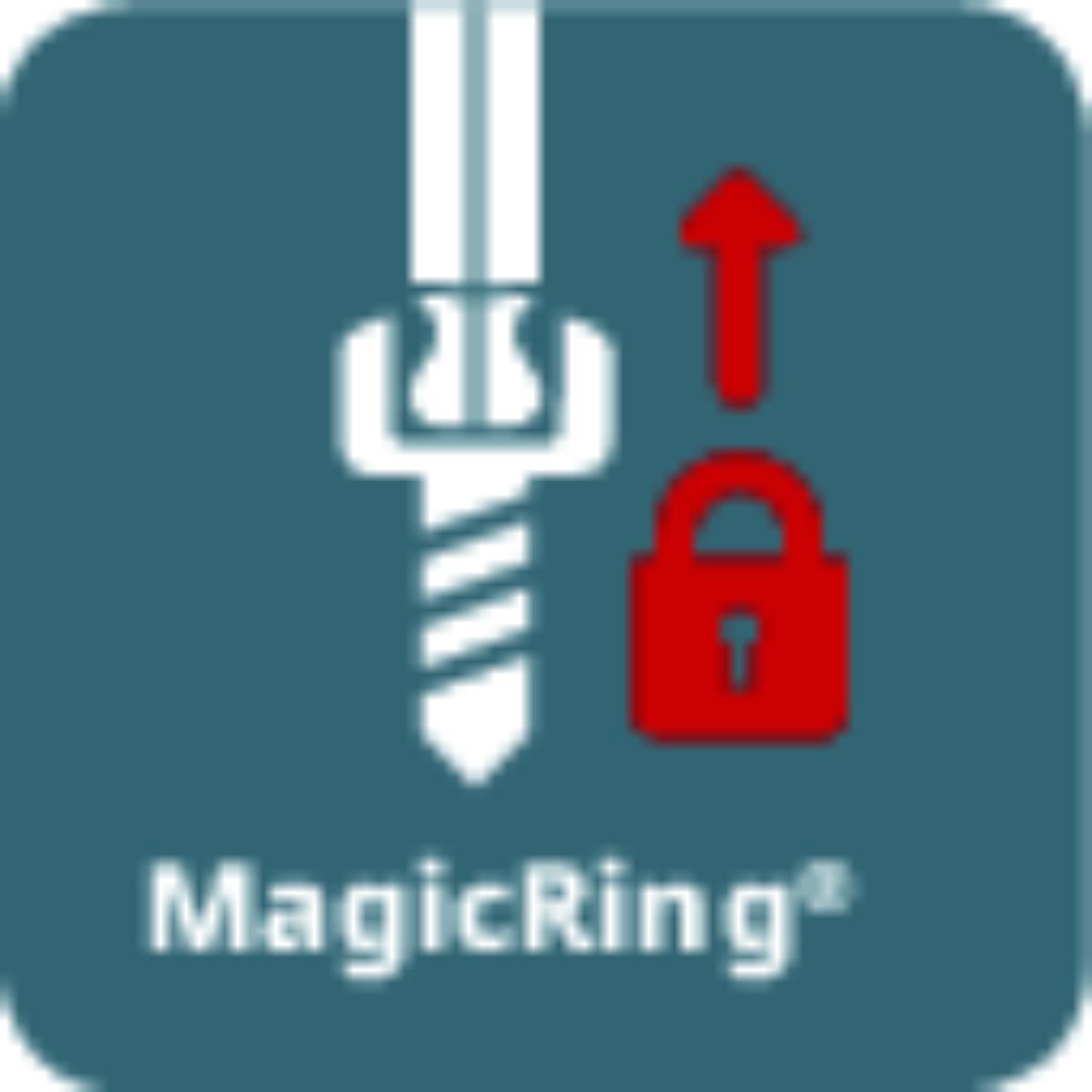 Wiha Stiftschlüssel mit Quergriff Sechskant MagicRing glanzvernickelt